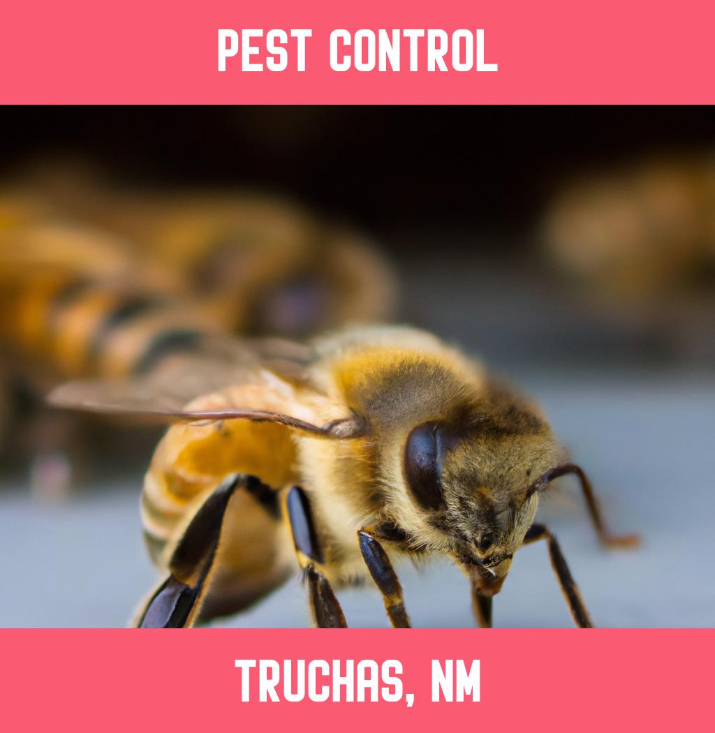 pest control in Truchas New Mexico