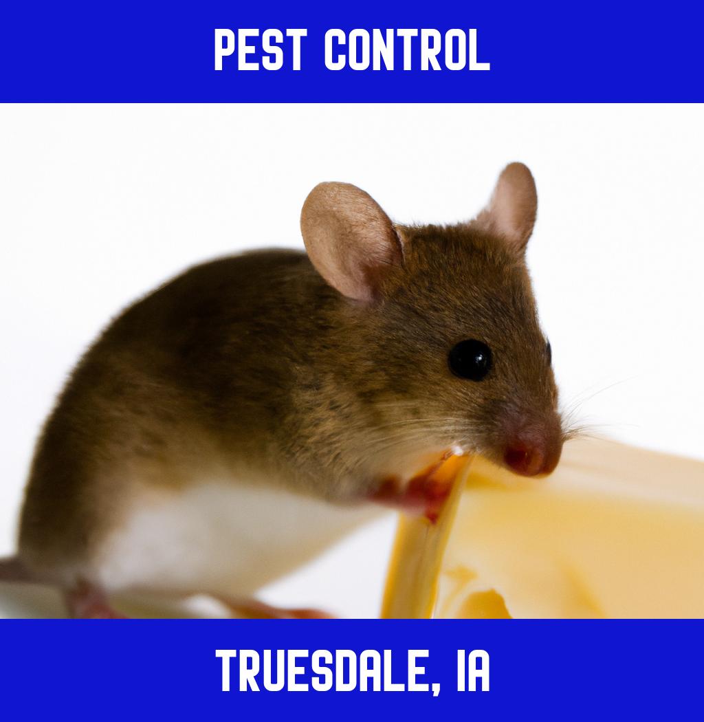 pest control in Truesdale Iowa