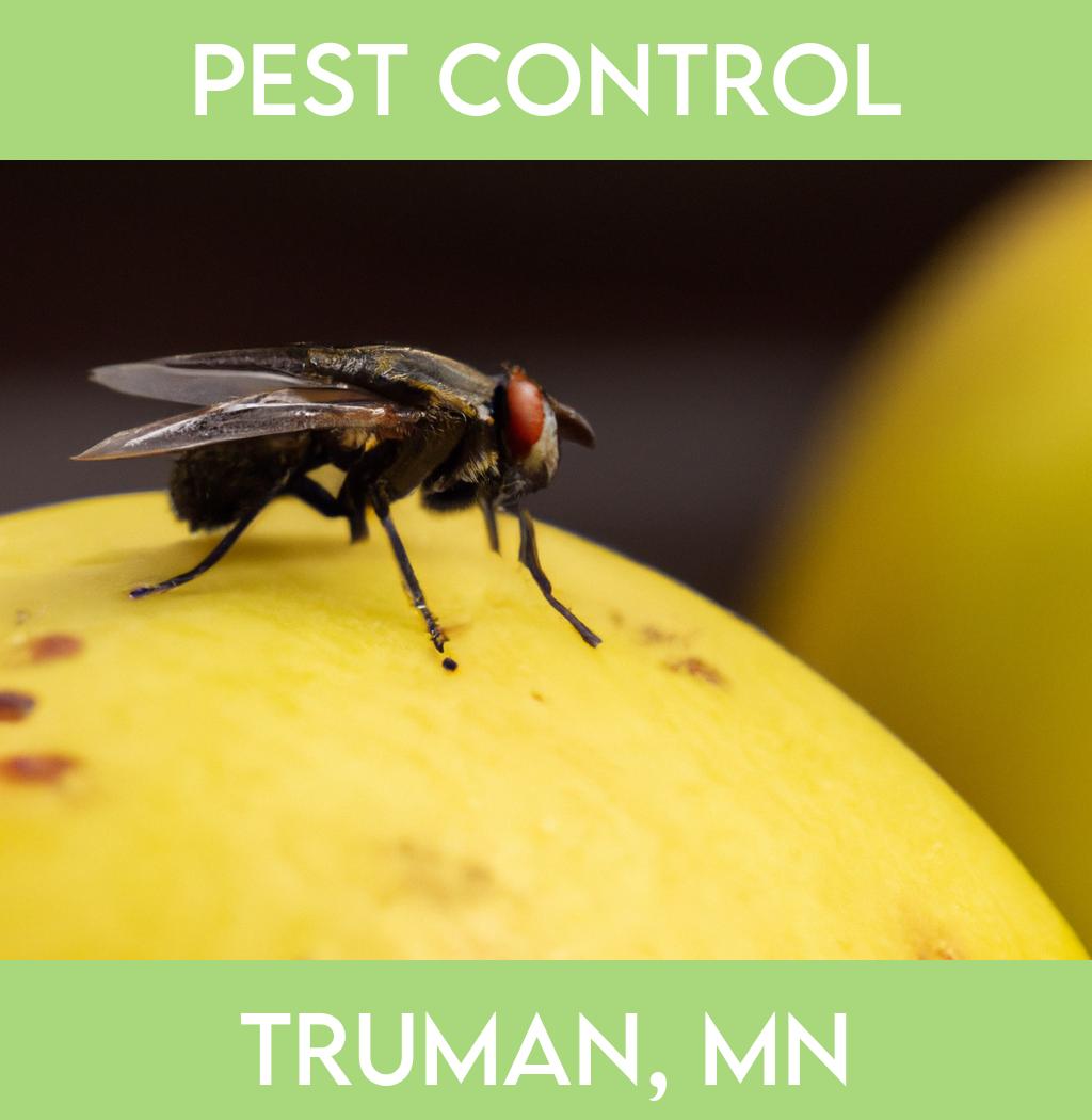 pest control in Truman Minnesota
