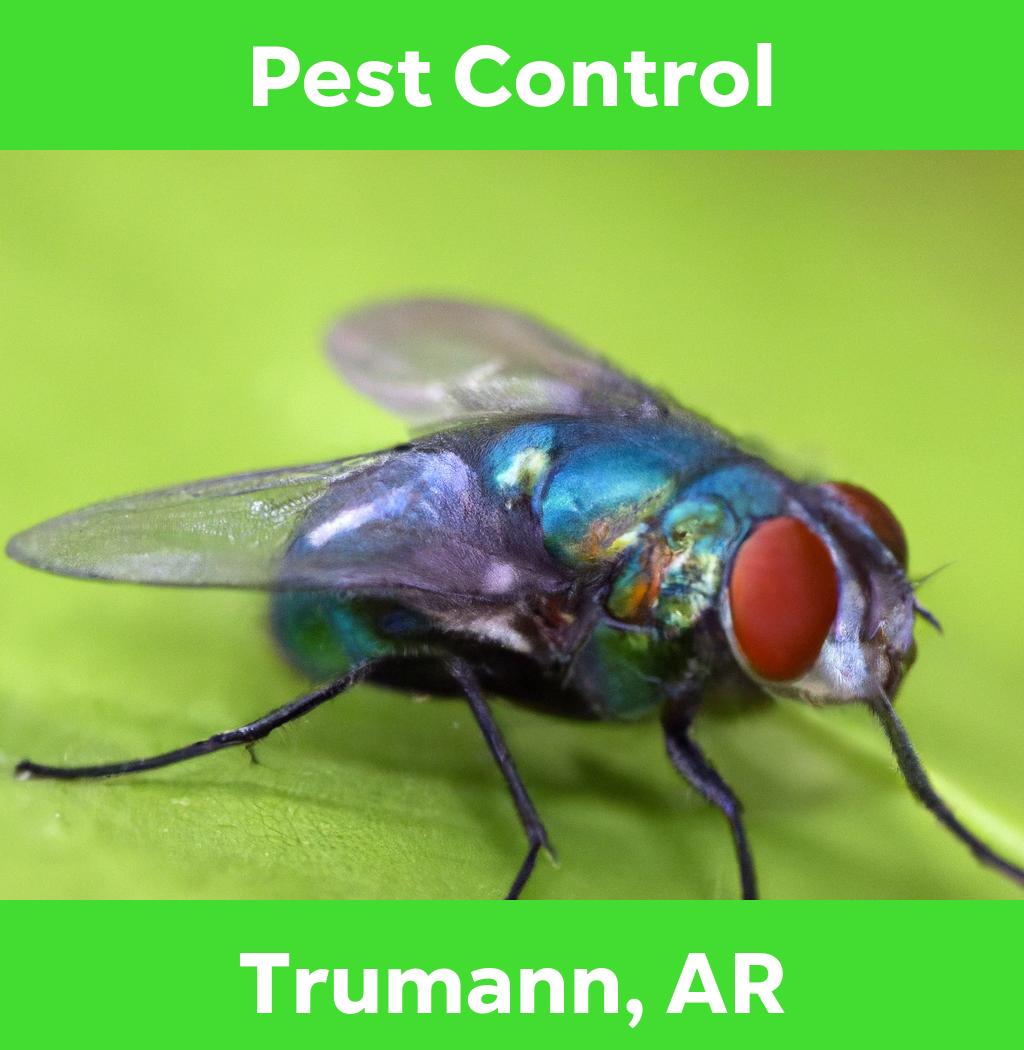 pest control in Trumann Arkansas