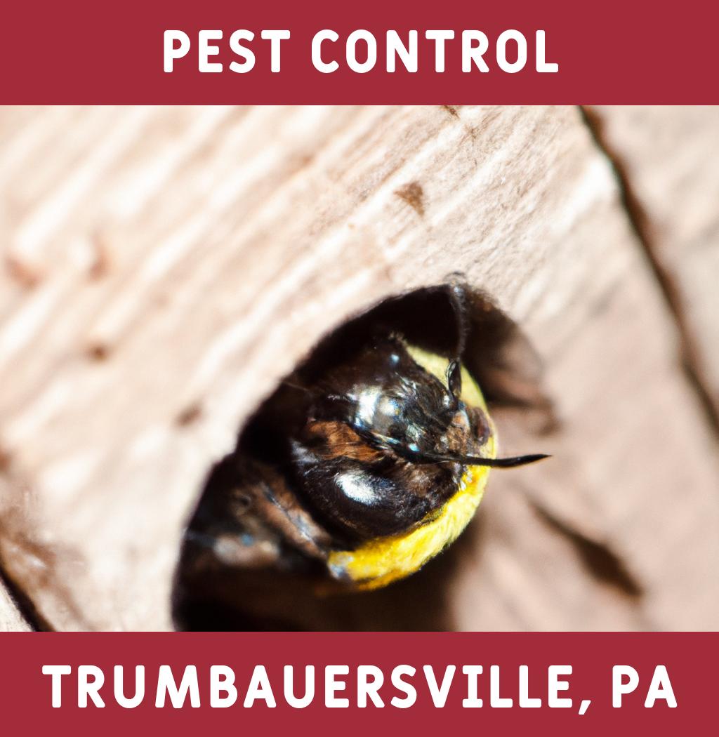 pest control in Trumbauersville Pennsylvania