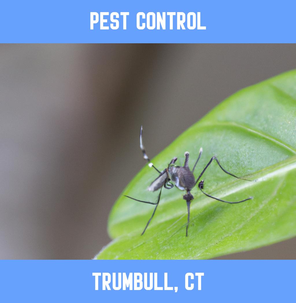 pest control in Trumbull Connecticut