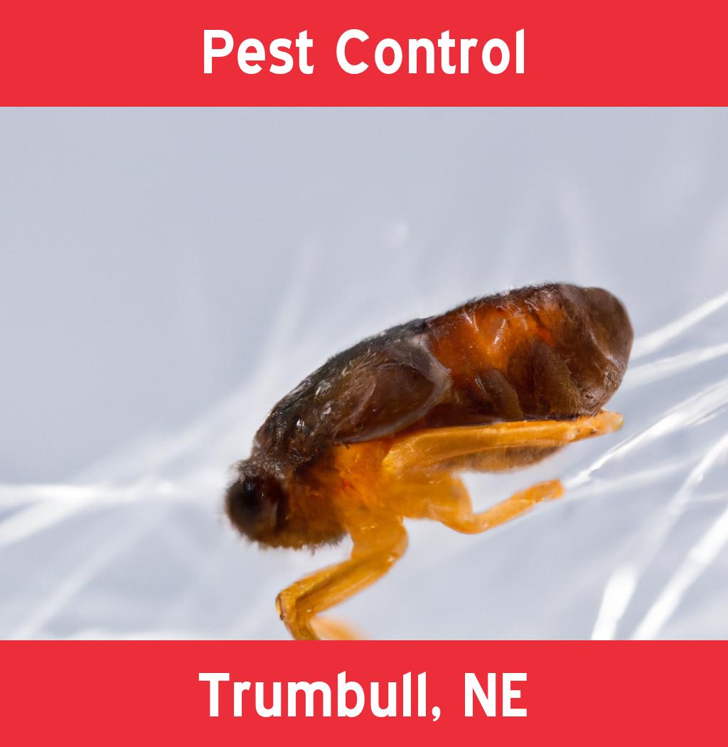 pest control in Trumbull Nebraska