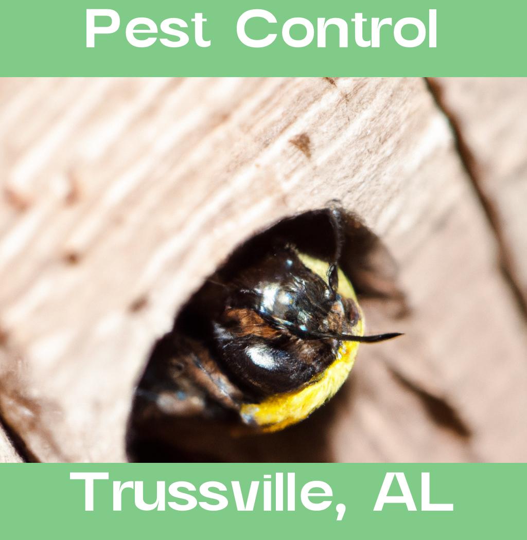 pest control in Trussville Alabama
