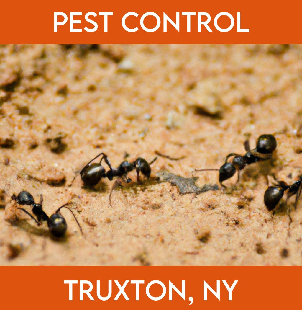 pest control in Truxton New York