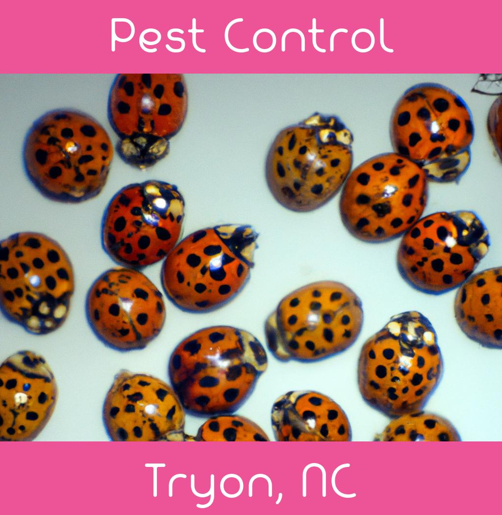 pest control in Tryon North Carolina