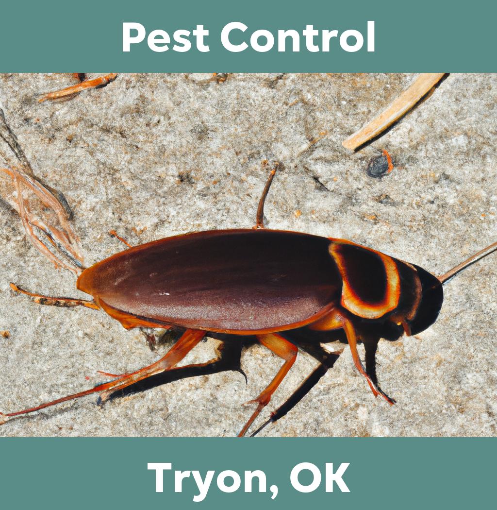 pest control in Tryon Oklahoma