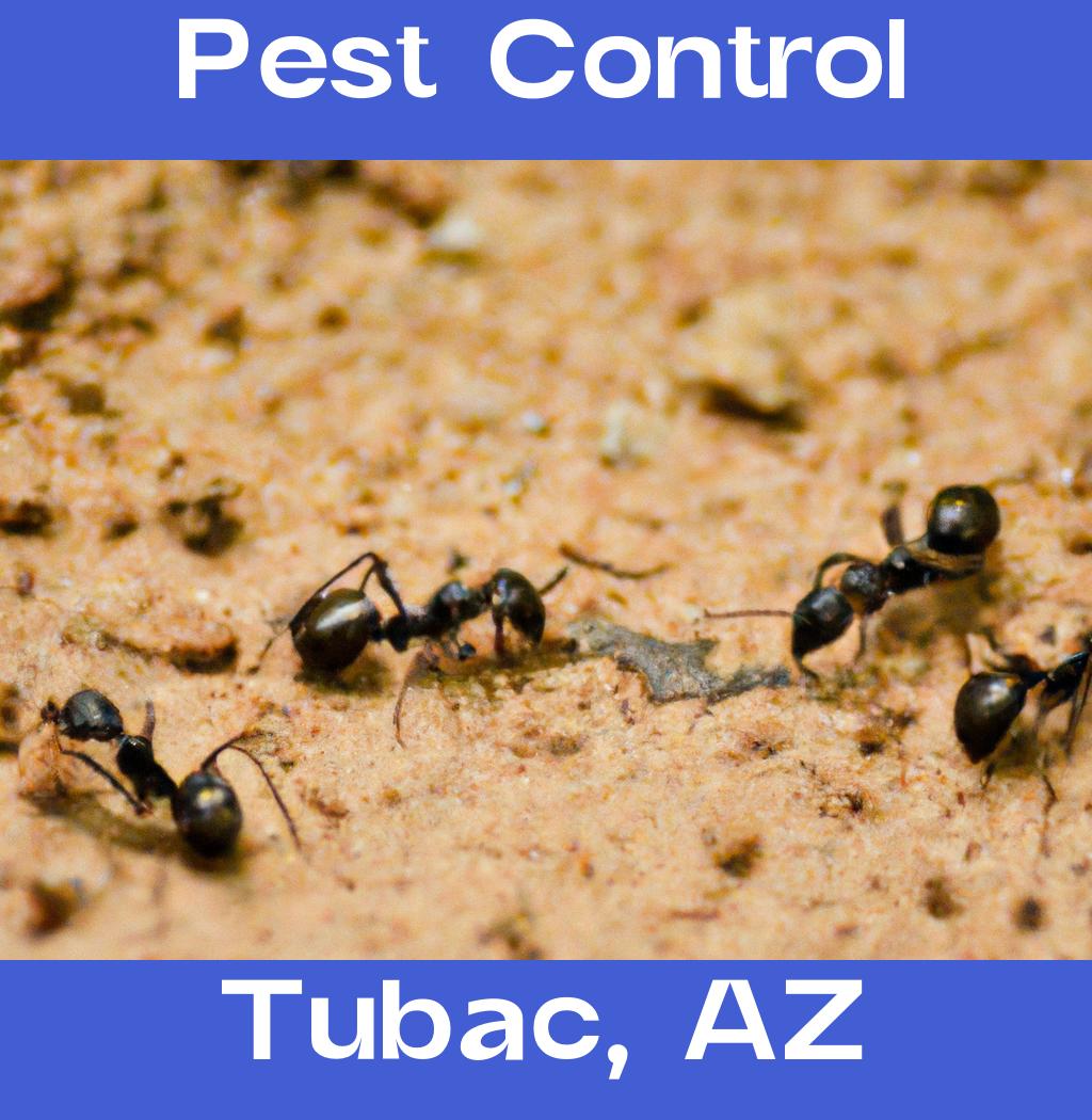 pest control in Tubac Arizona