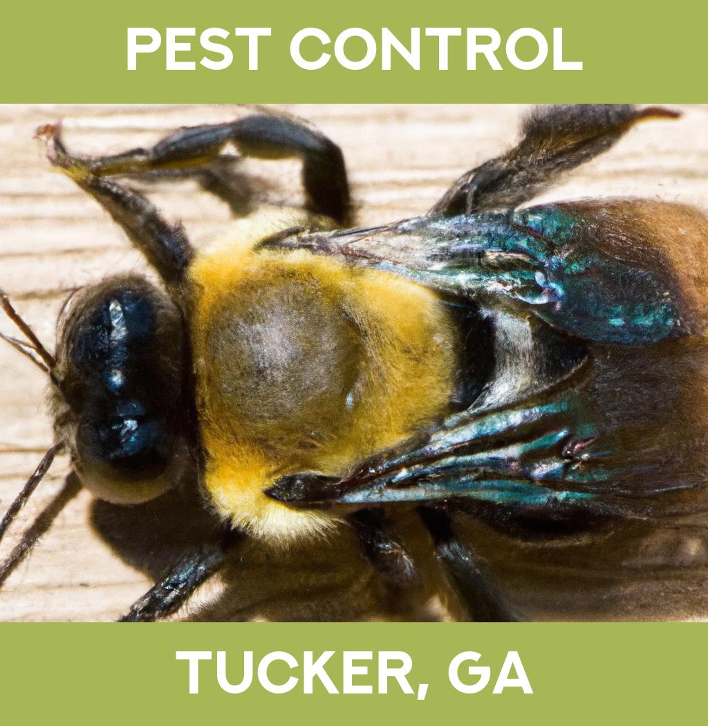 pest control in Tucker Georgia