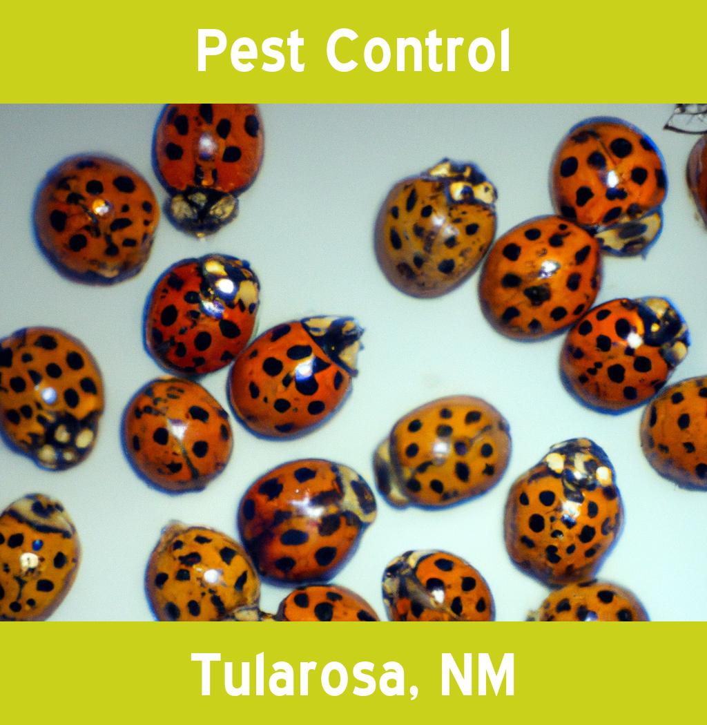 pest control in Tularosa New Mexico