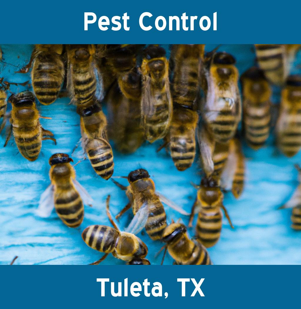 pest control in Tuleta Texas