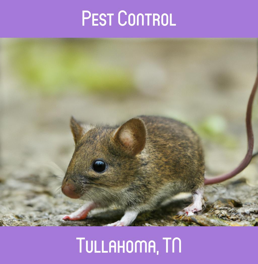pest control in Tullahoma Tennessee