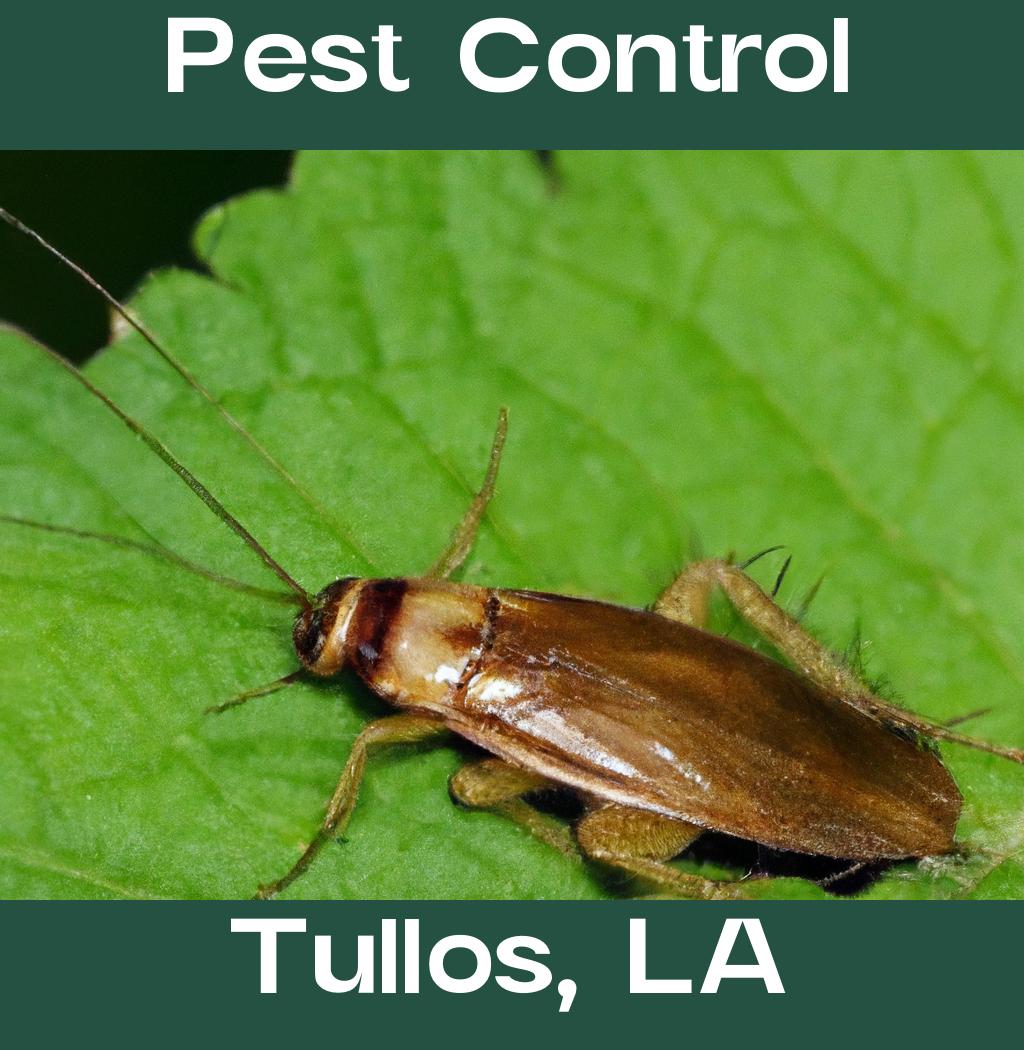 pest control in Tullos Louisiana