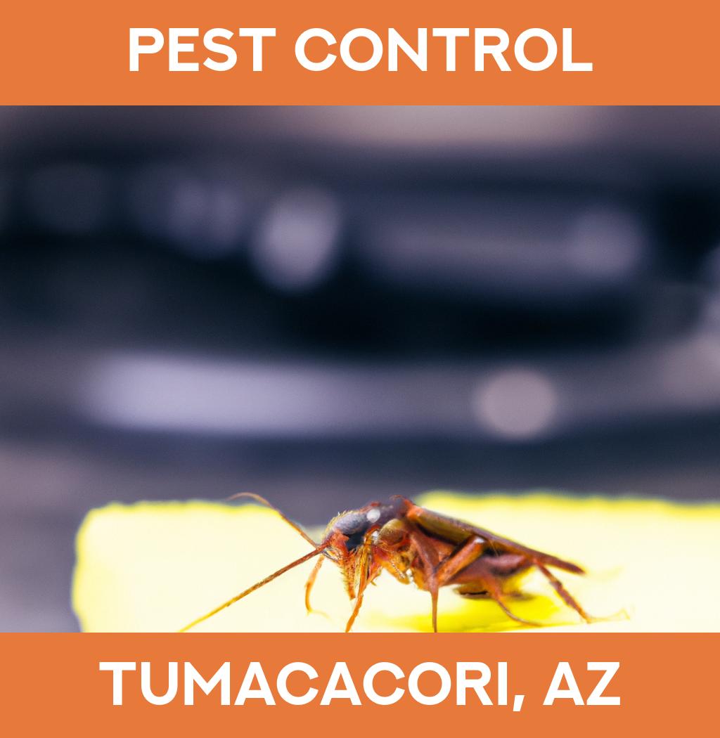 pest control in Tumacacori Arizona