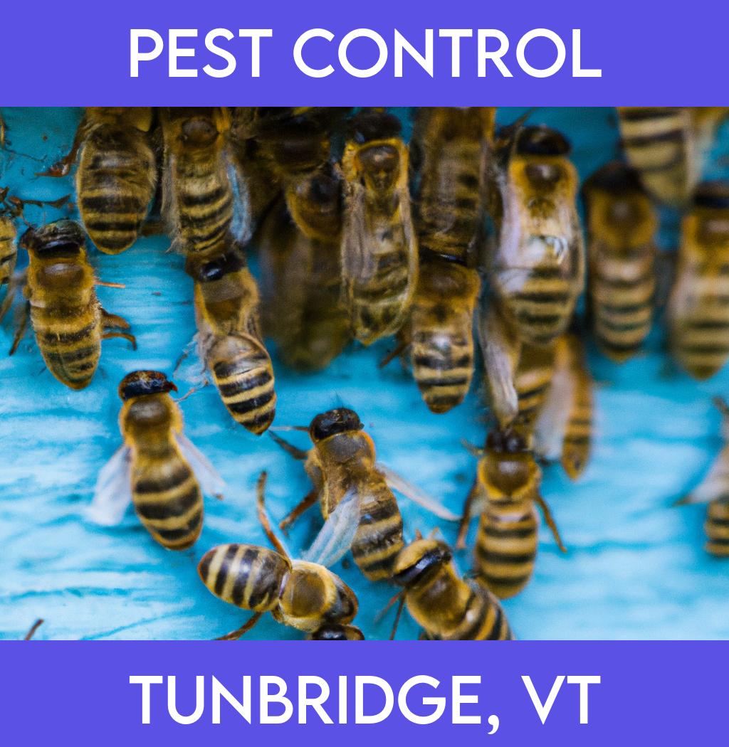 pest control in Tunbridge Vermont