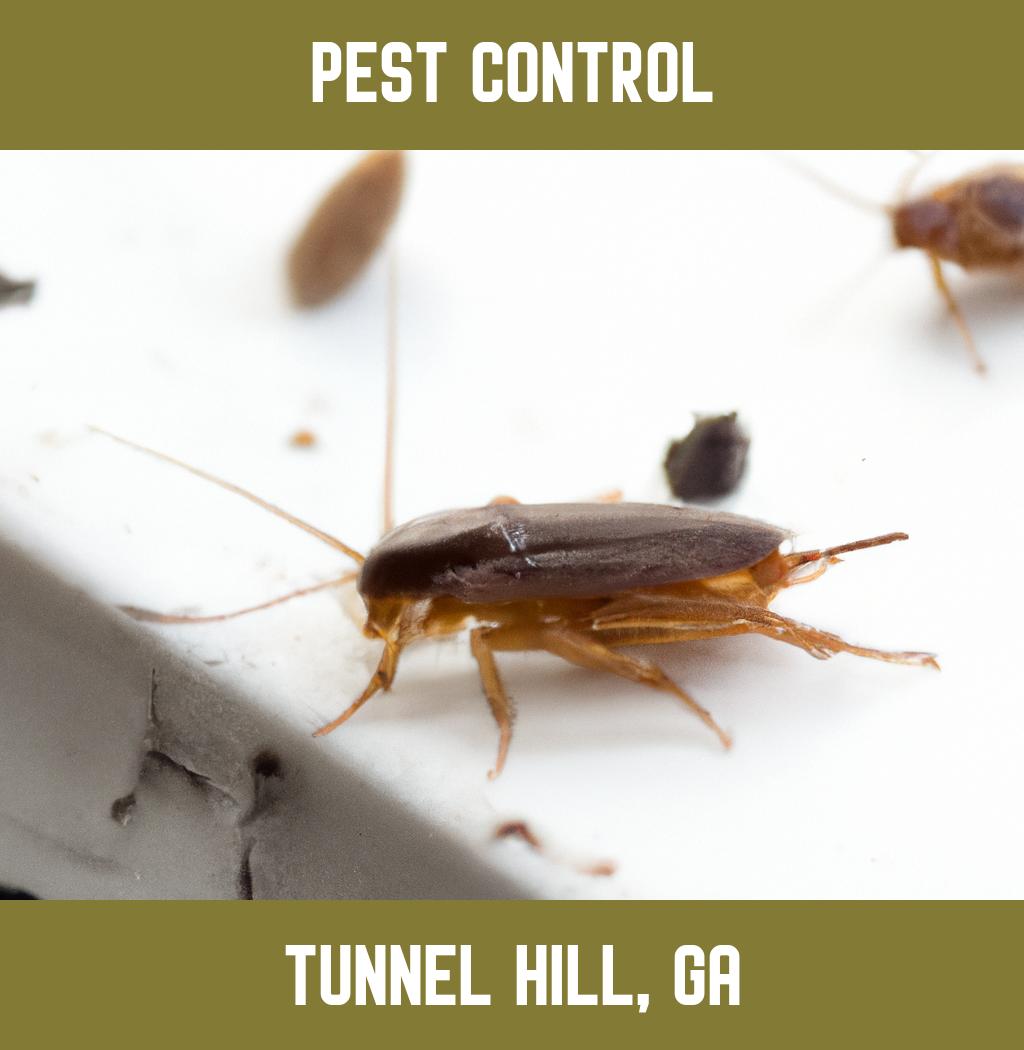 pest control in Tunnel Hill Georgia