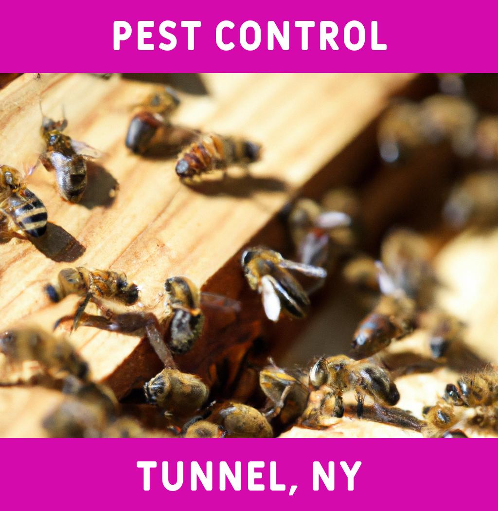 pest control in Tunnel New York
