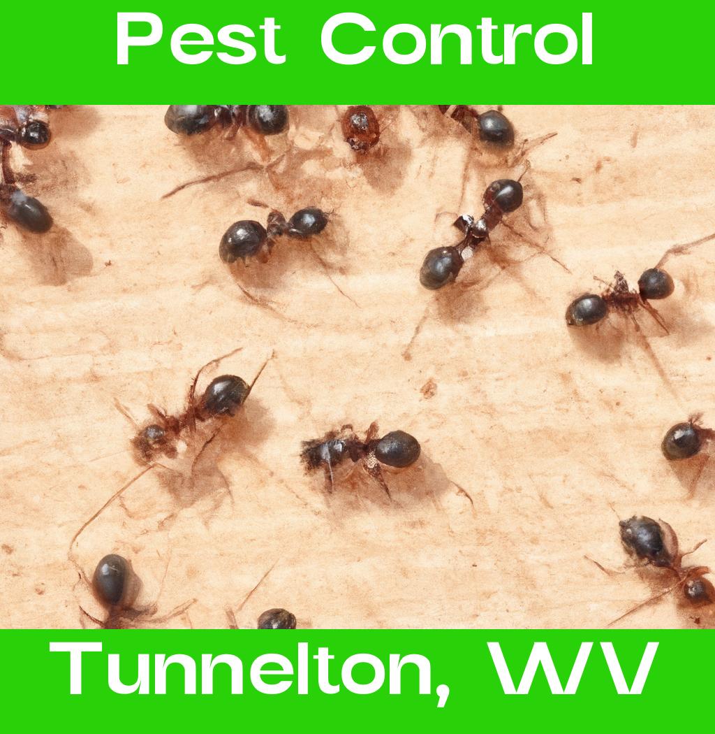 pest control in Tunnelton West Virginia