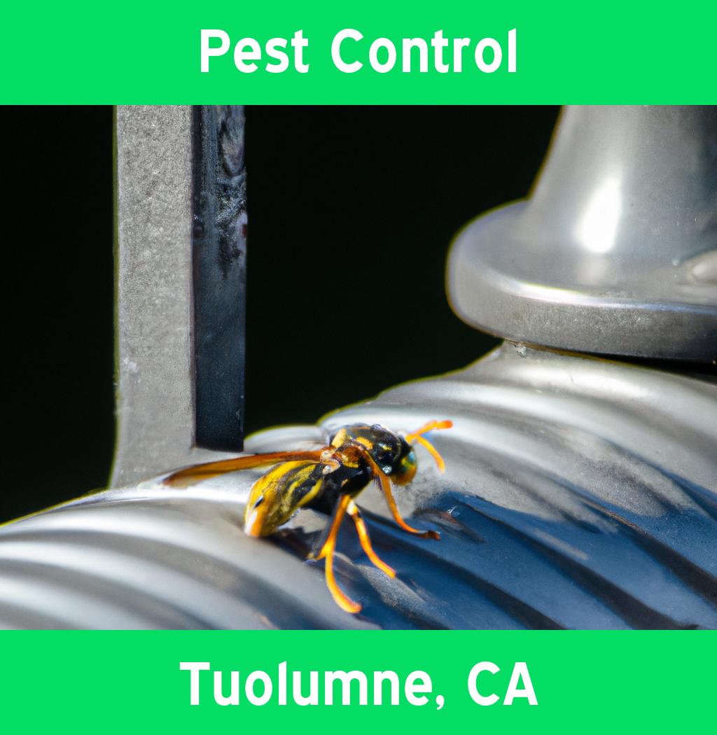 pest control in Tuolumne California