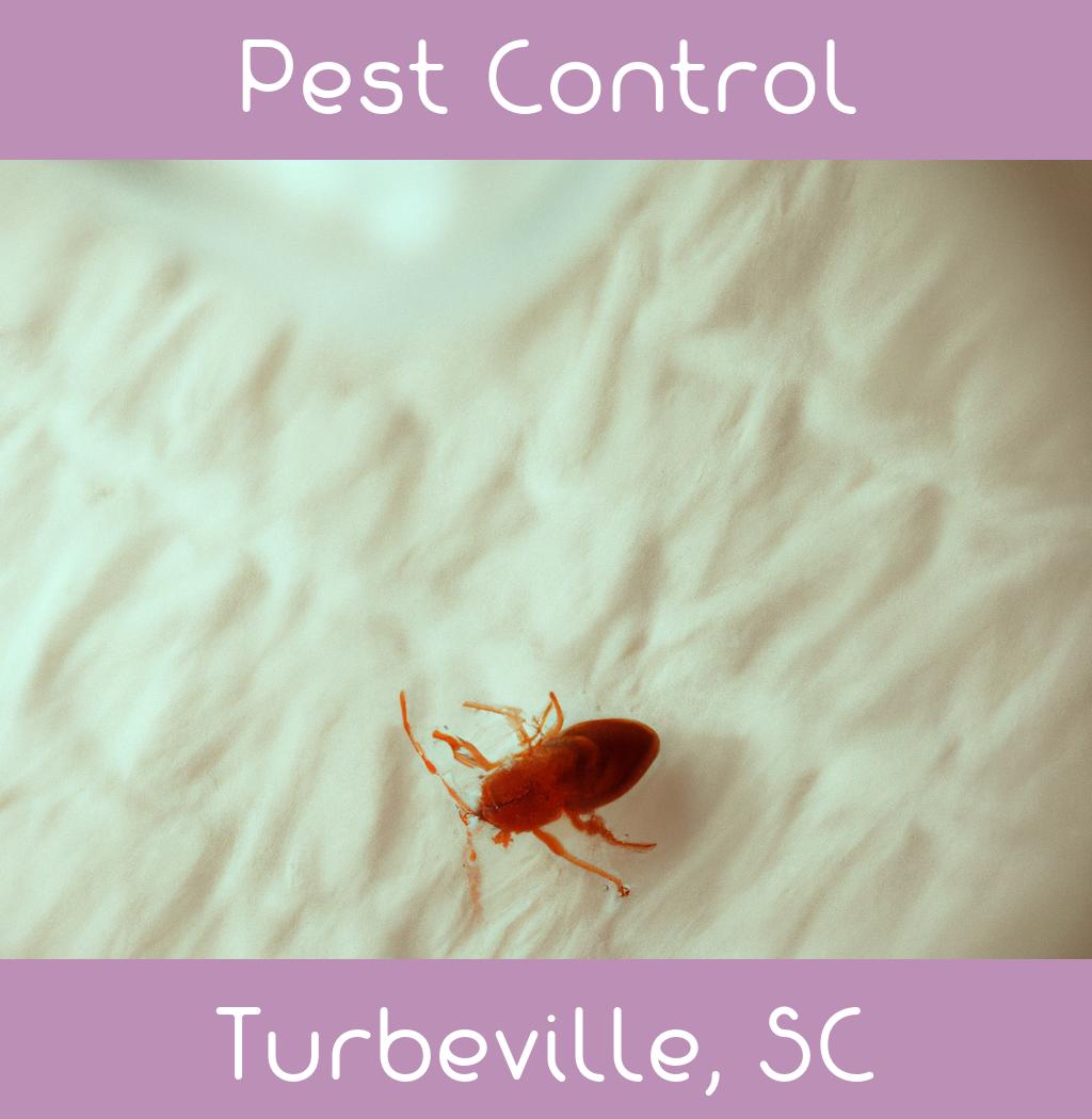 pest control in Turbeville South Carolina