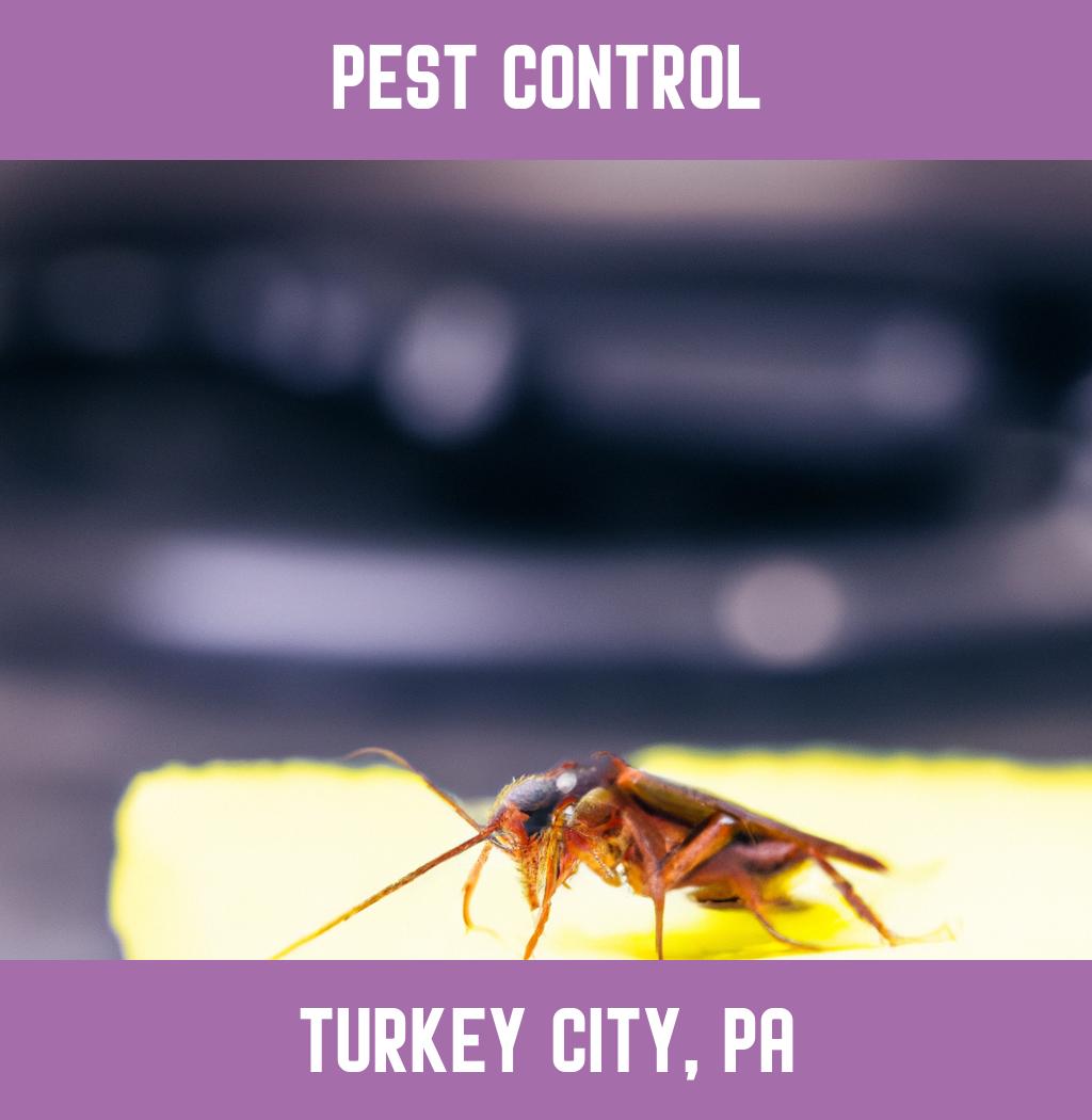 pest control in Turkey City Pennsylvania