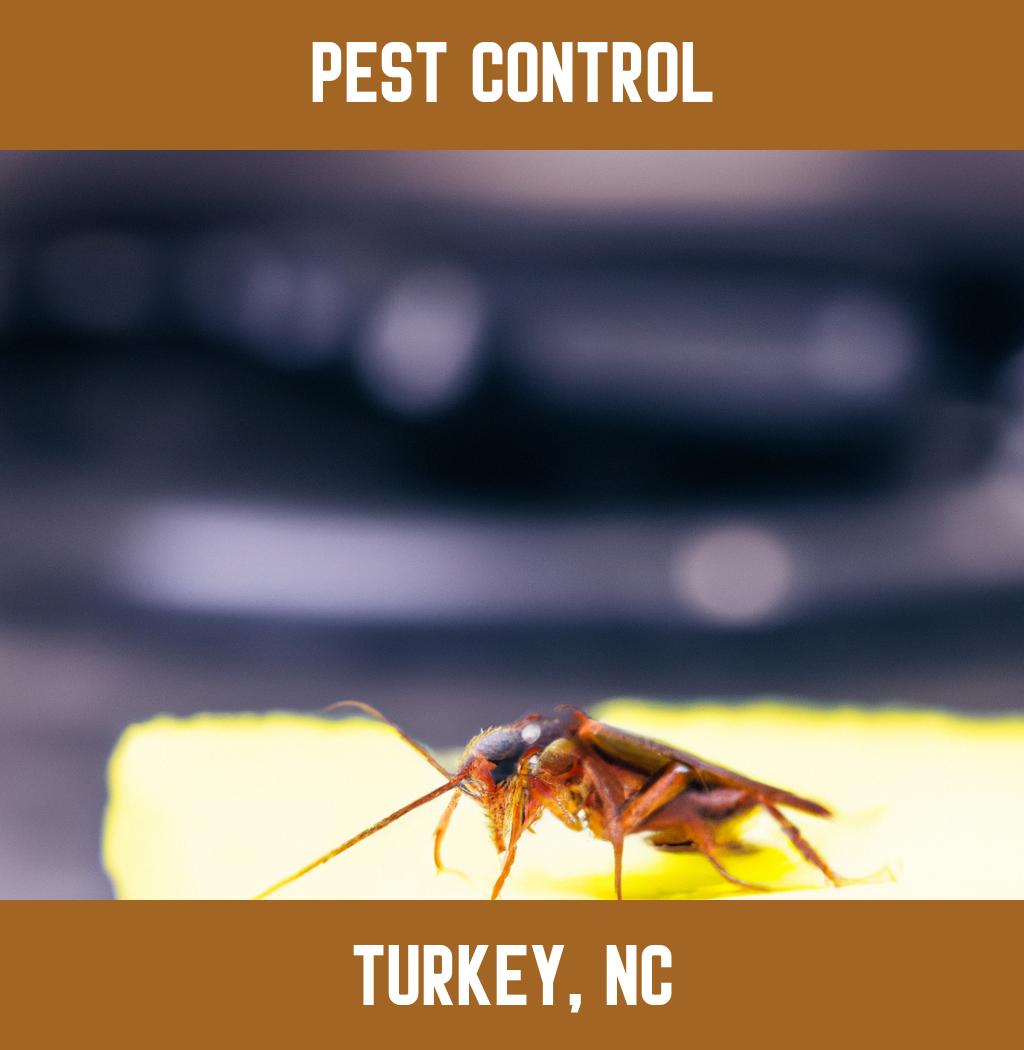 pest control in Turkey North Carolina