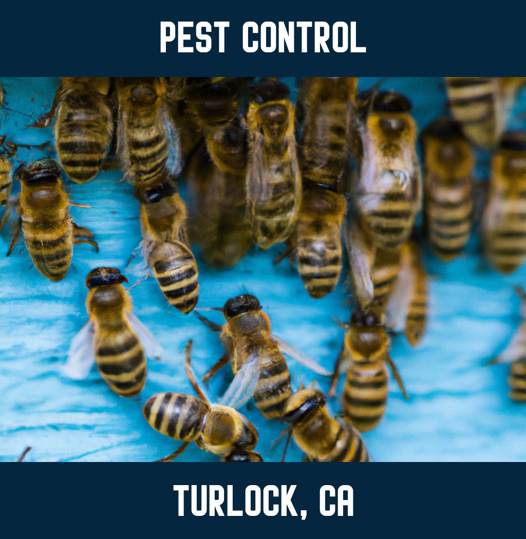 pest control in Turlock California