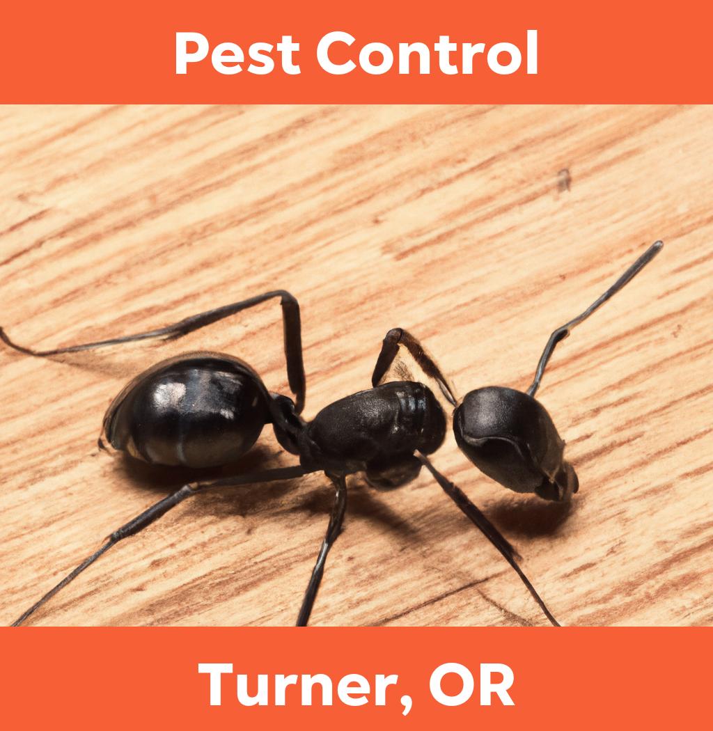 pest control in Turner Oregon