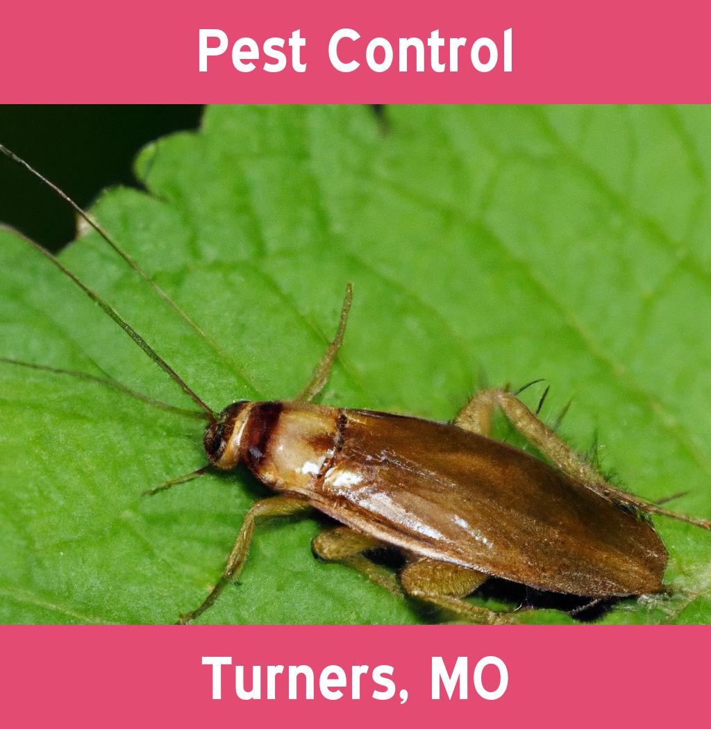 pest control in Turners Missouri