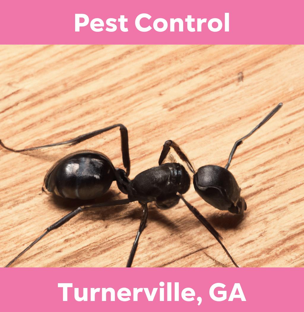 pest control in Turnerville Georgia