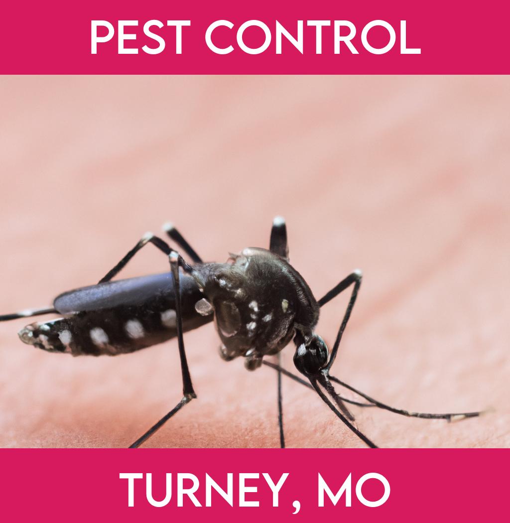 pest control in Turney Missouri