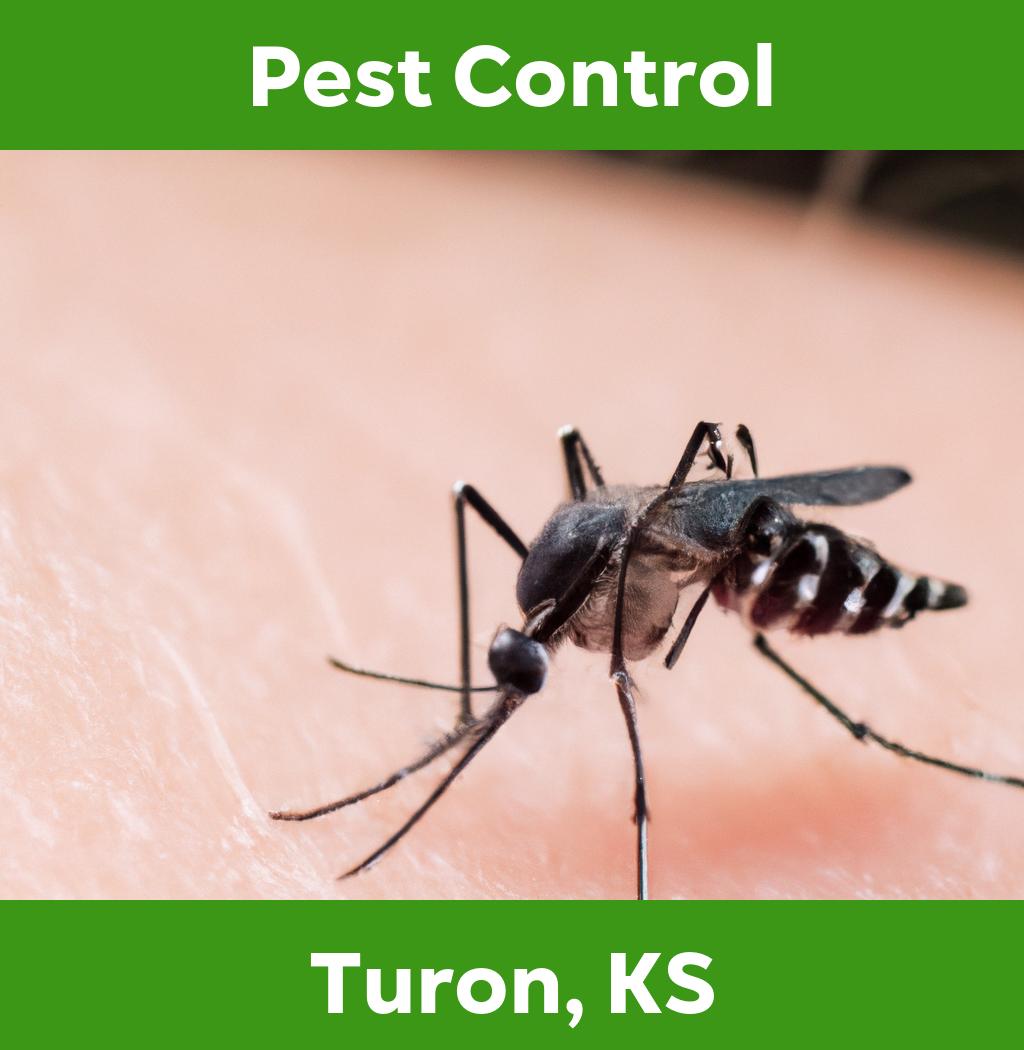 pest control in Turon Kansas