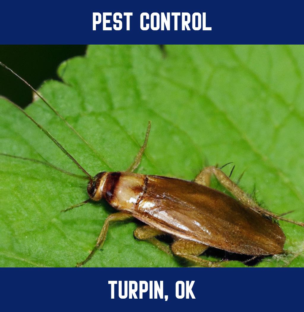 pest control in Turpin Oklahoma