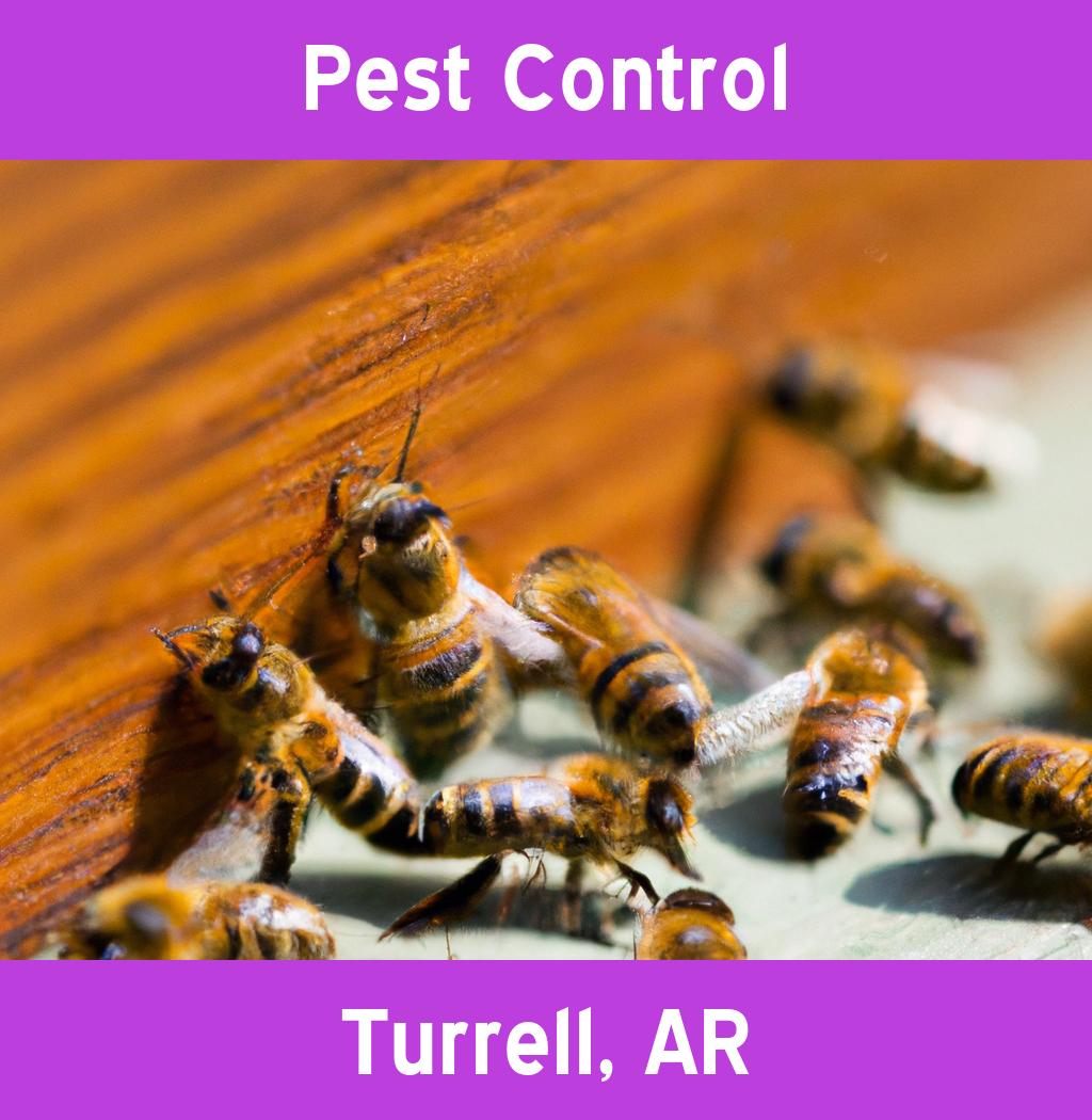 pest control in Turrell Arkansas
