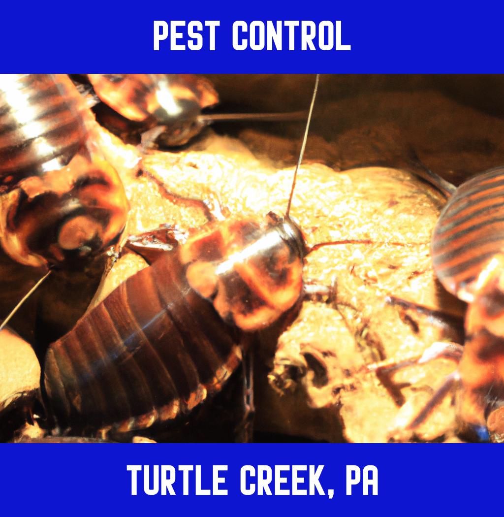 pest control in Turtle Creek Pennsylvania