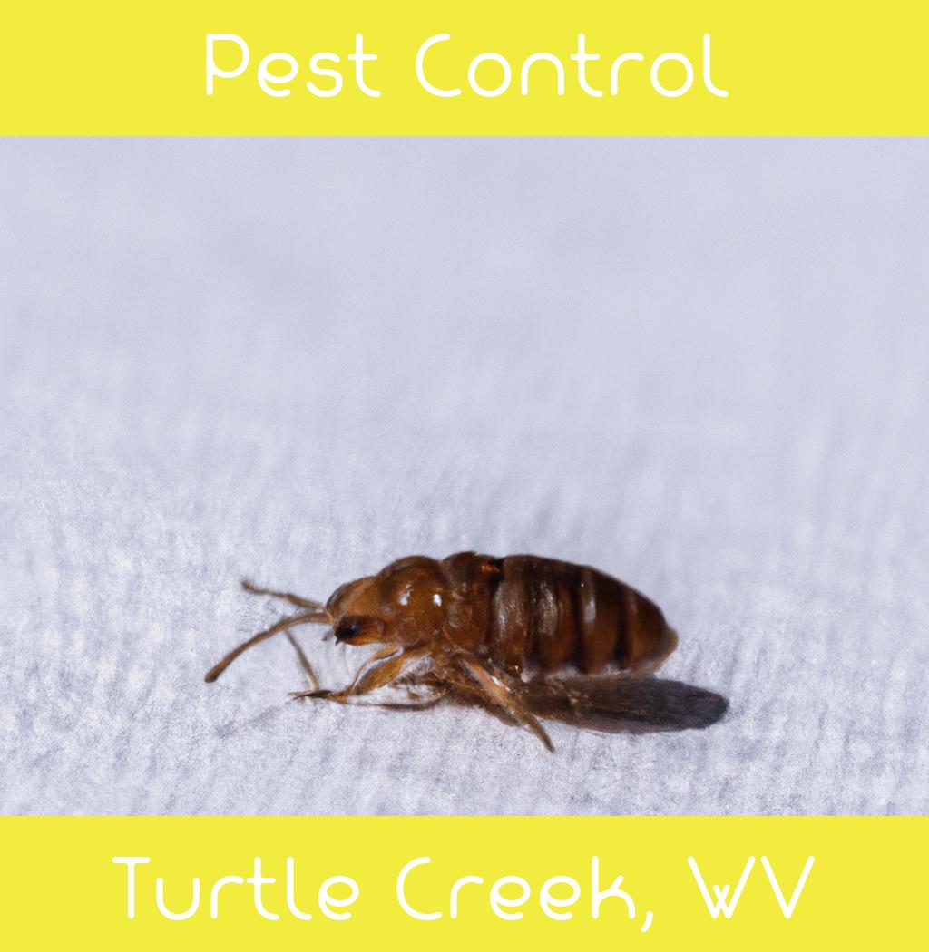 pest control in Turtle Creek West Virginia