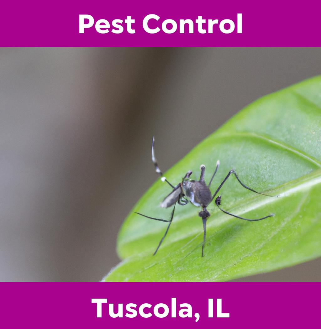 pest control in Tuscola Illinois