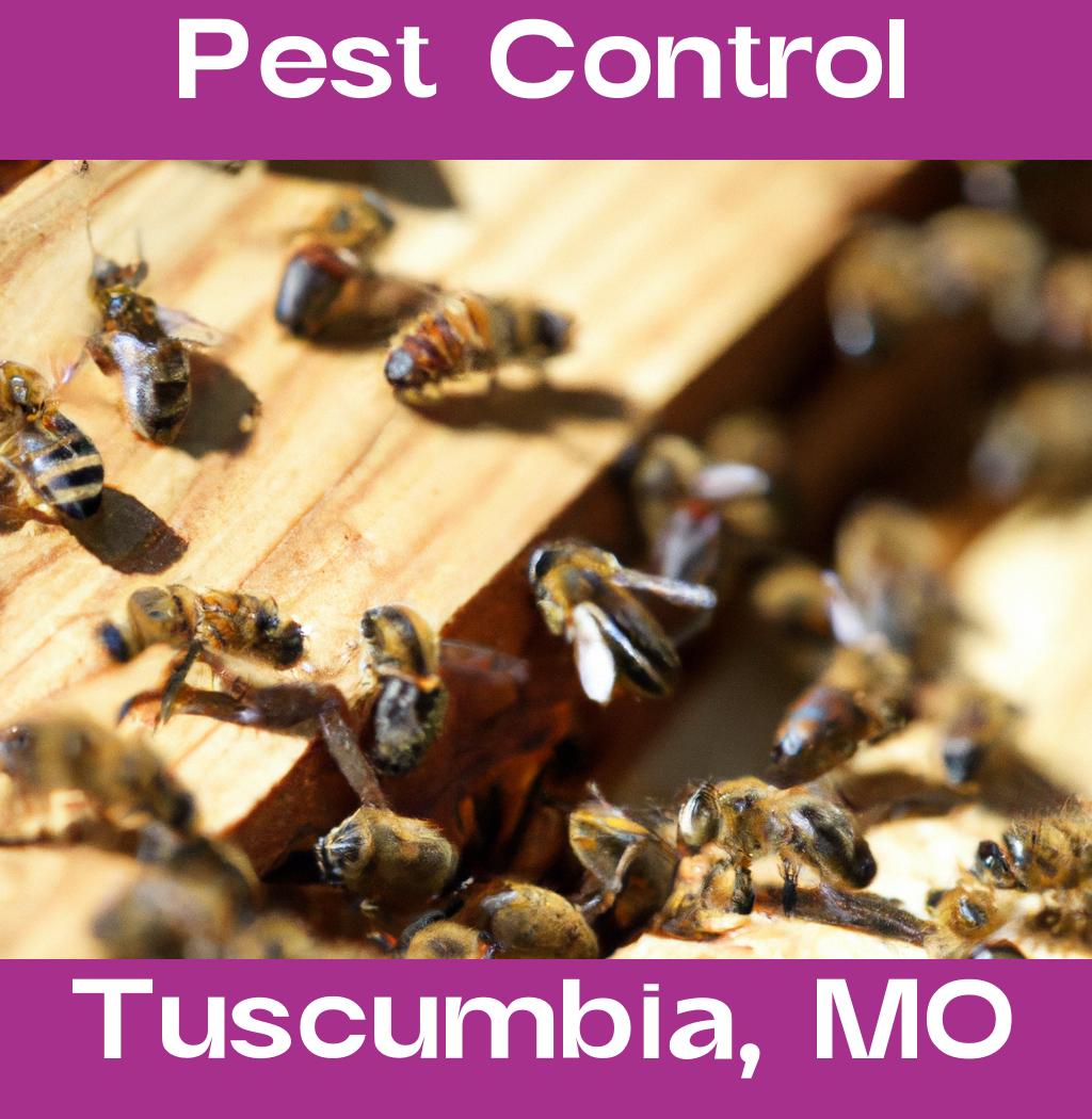 pest control in Tuscumbia Missouri