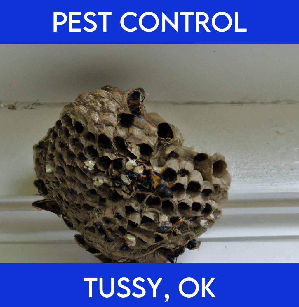 pest control in Tussy Oklahoma