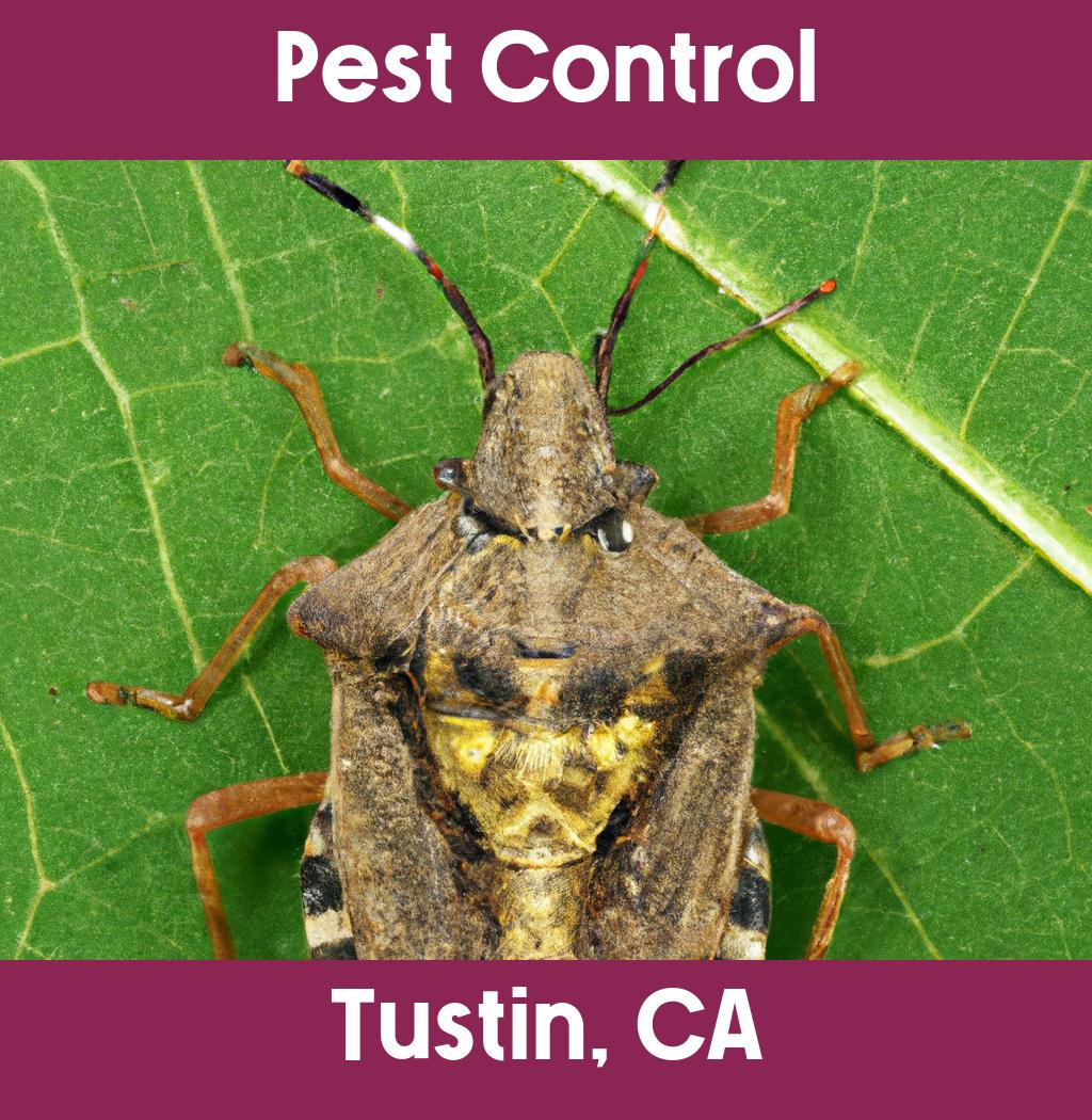 pest control in Tustin California