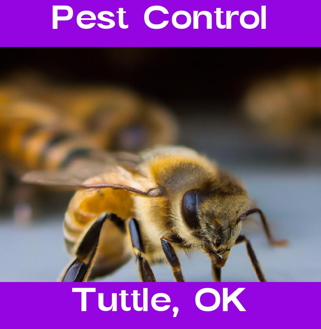 pest control in Tuttle Oklahoma