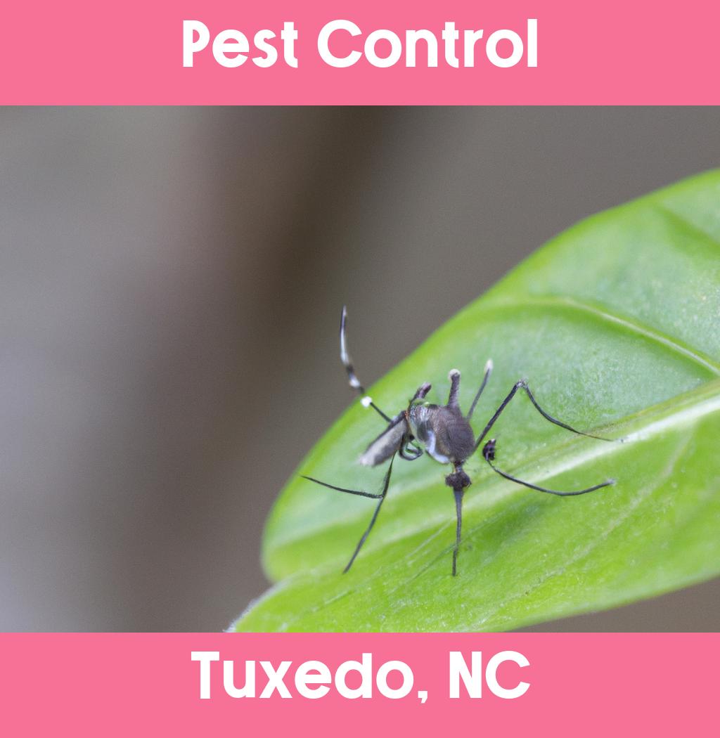 pest control in Tuxedo North Carolina