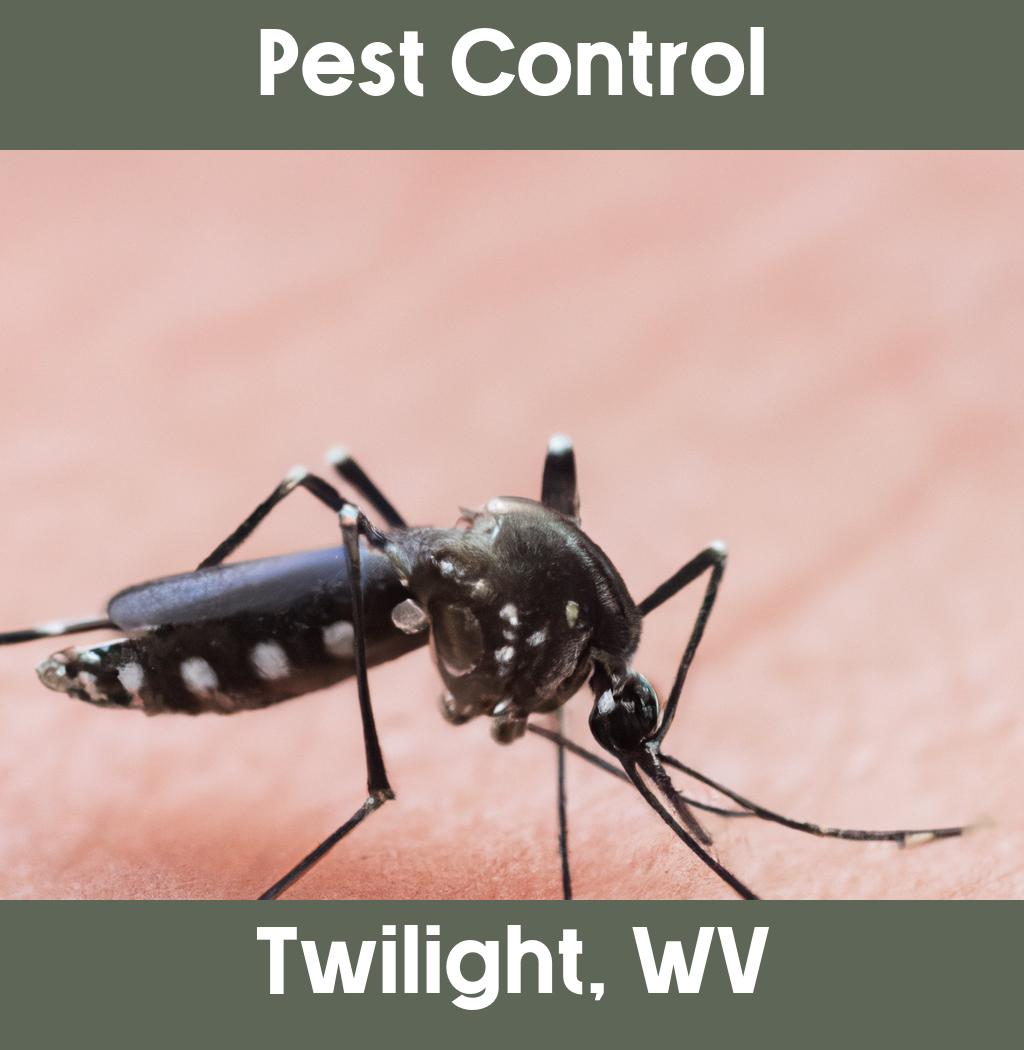 pest control in Twilight West Virginia