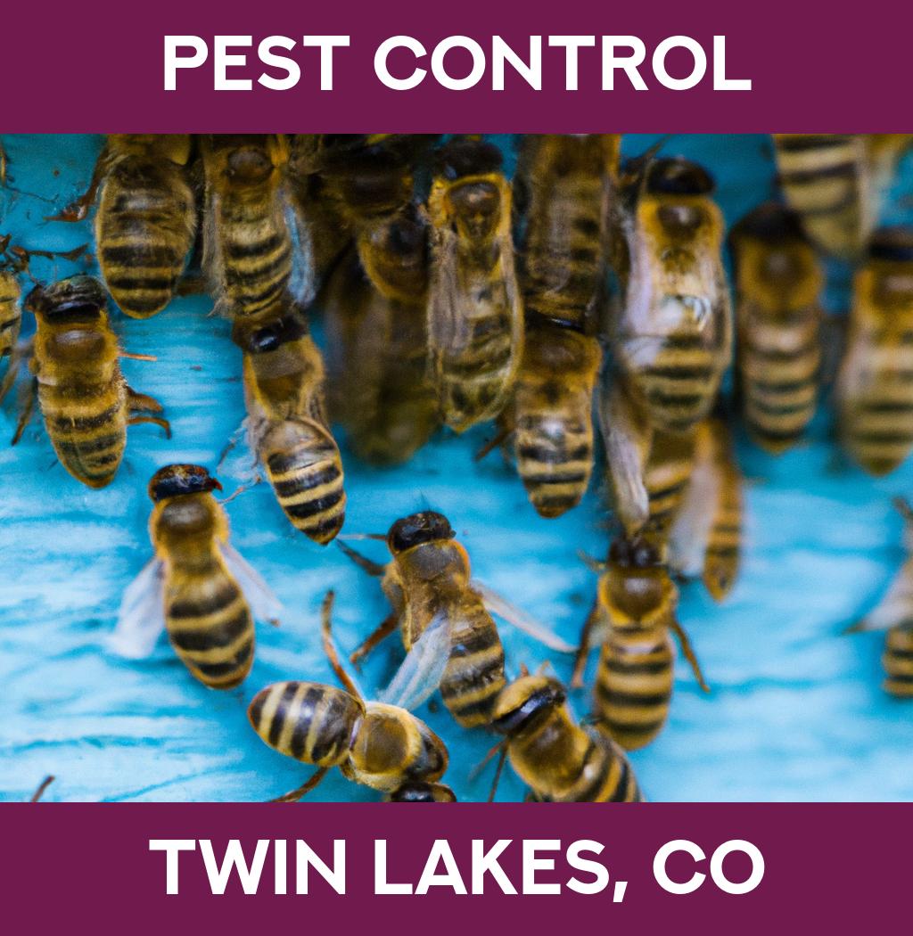 pest control in Twin Lakes Colorado