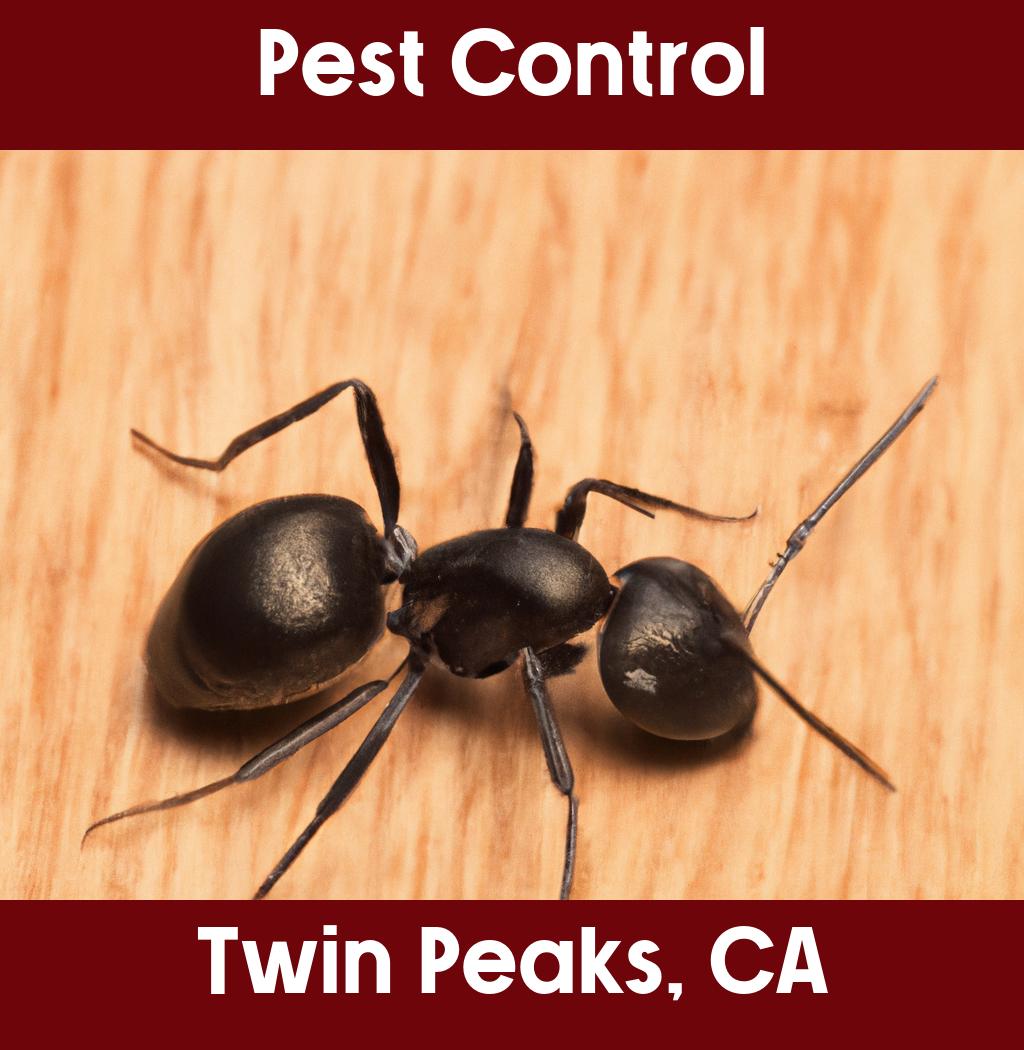 pest control in Twin Peaks California