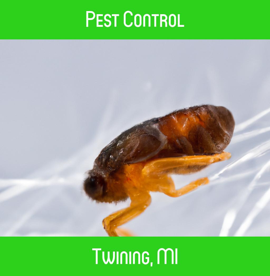 pest control in Twining Michigan