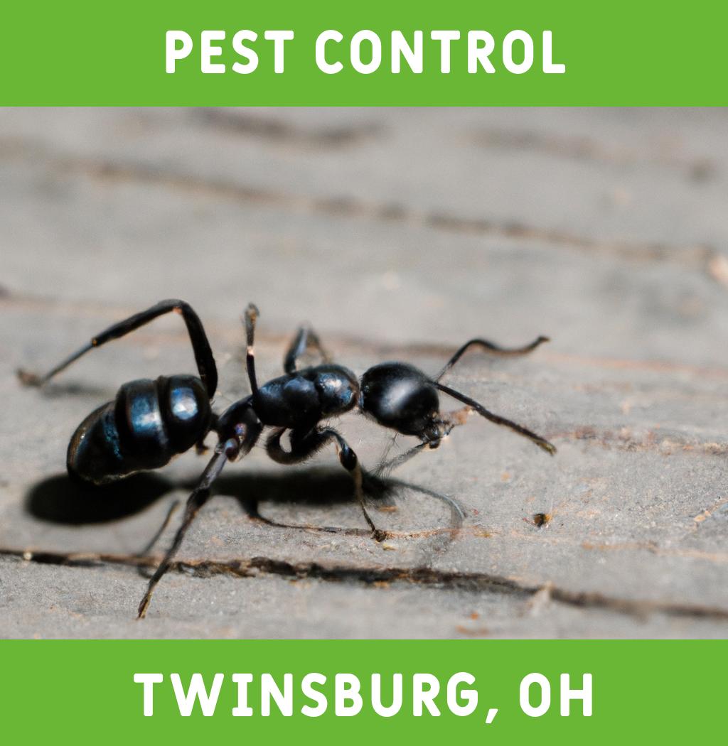 pest control in Twinsburg Ohio