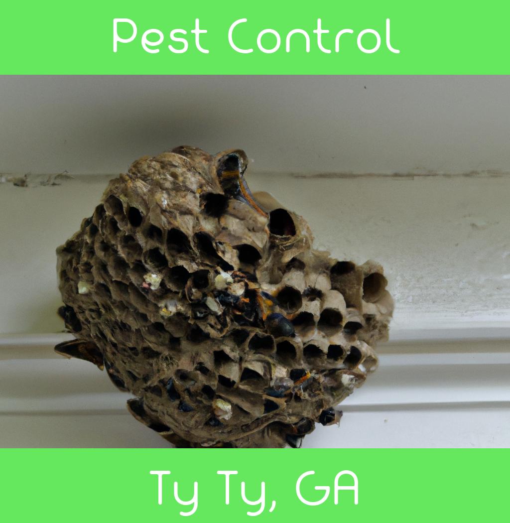 pest control in Ty Ty Georgia