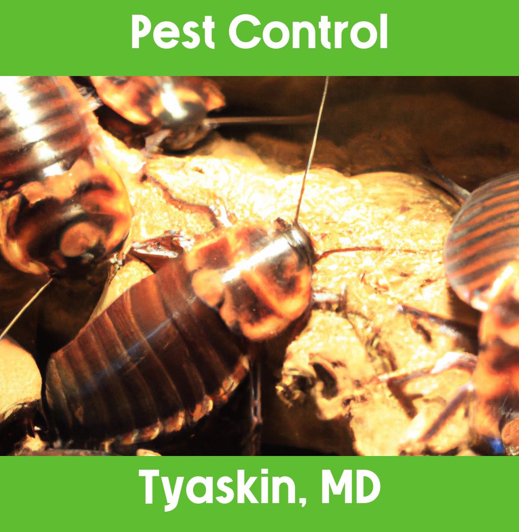 pest control in Tyaskin Maryland