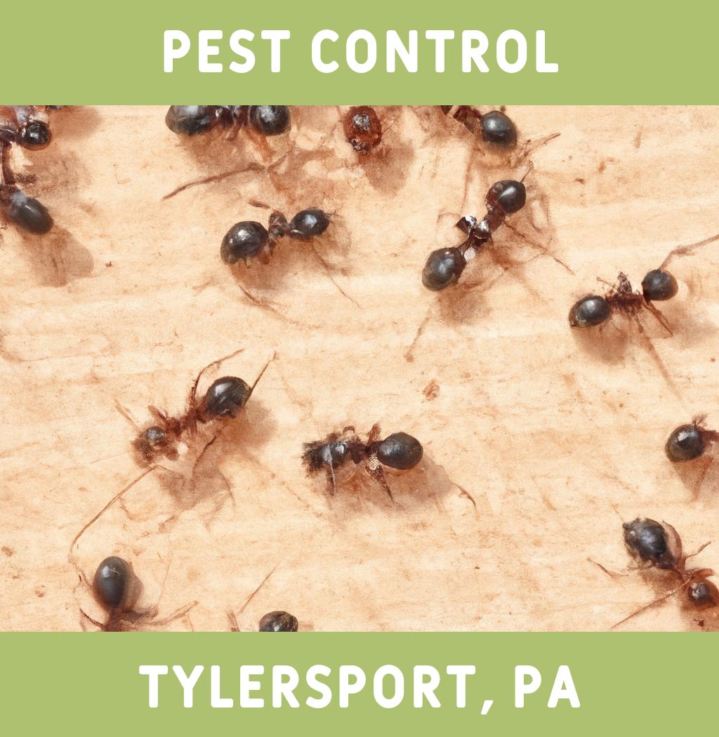 pest control in Tylersport Pennsylvania